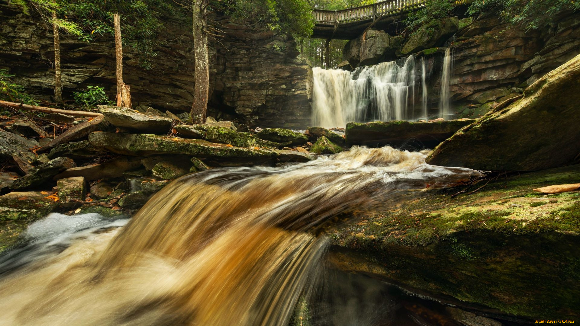 blackwater falls, west virginia, , , blackwater, falls, west, virginia